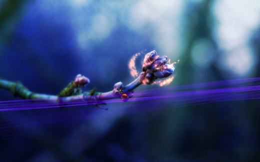 475388 (a): :1920x1200
